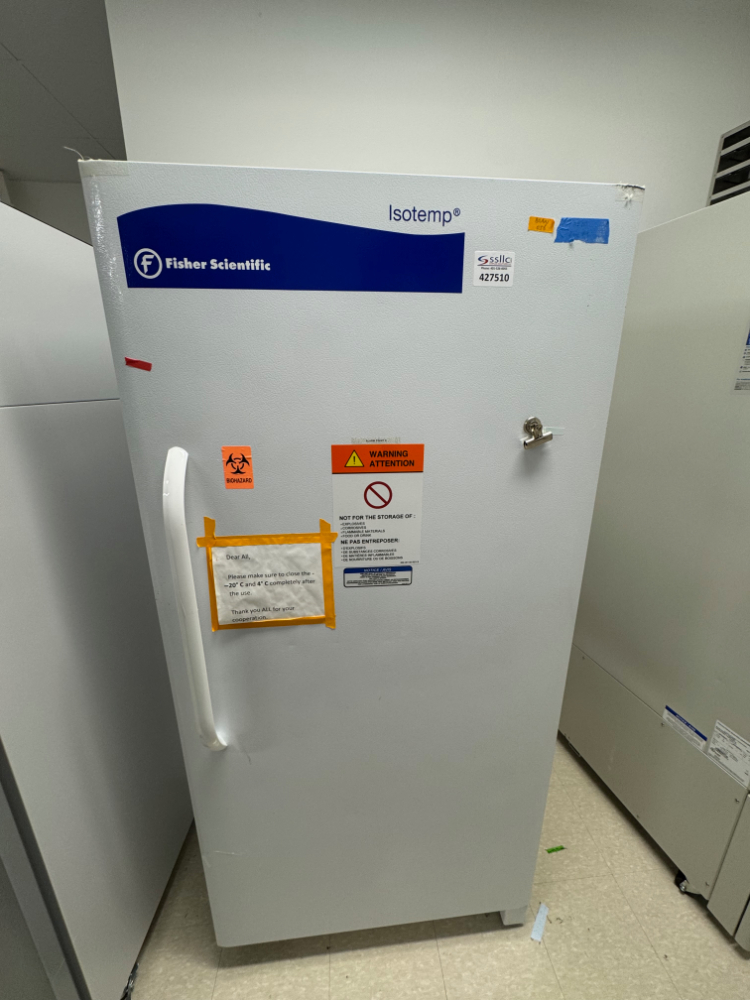 Image of Fisher Scientific Isotemp Upright Refrigerator